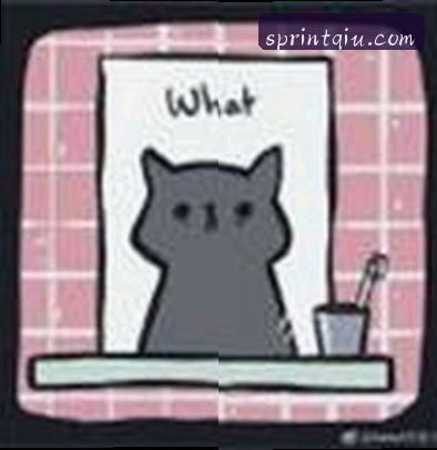 钱琳
